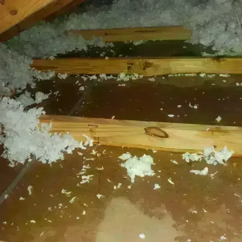 Attic Water Damage in Eden Isle, LA